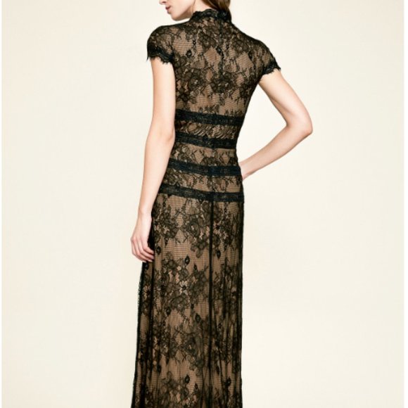 TADASHI SHOJI SWANSON LACE BLACK/NUDE GOWN sz 12 - Picture 2 of 5